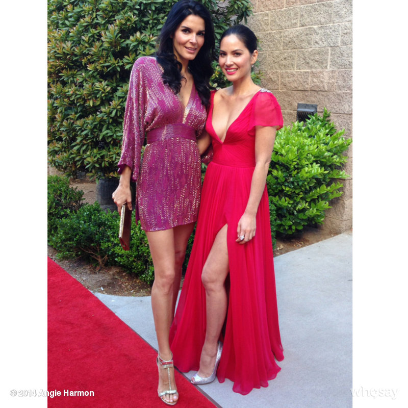 Angie_Harmon_--_Mix_Of_WHOSAY_005.jpg