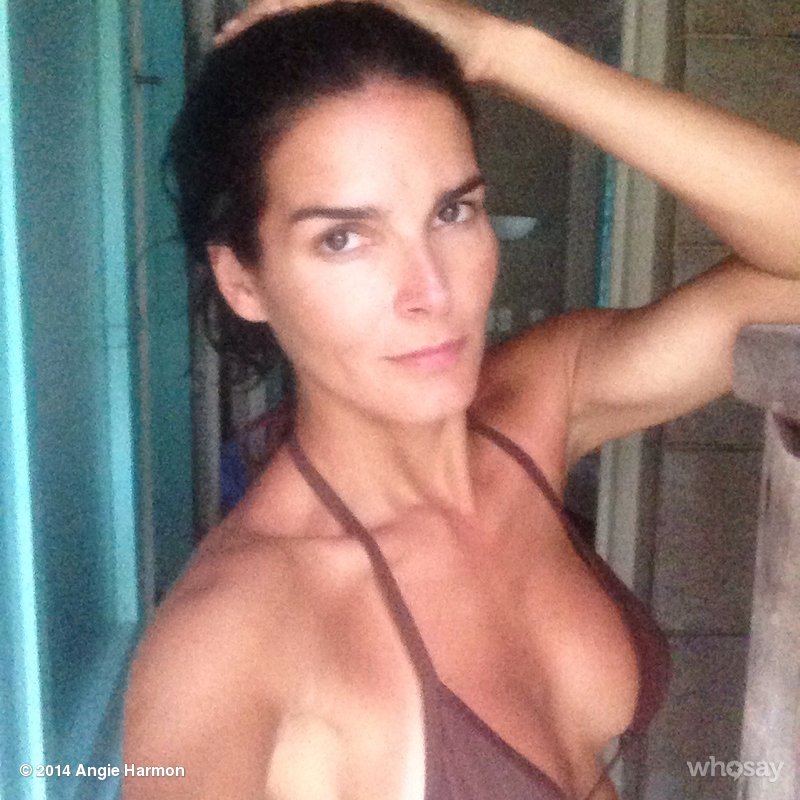 Angie_Harmon_--_Mix_Of_Social_Network_004.jpg