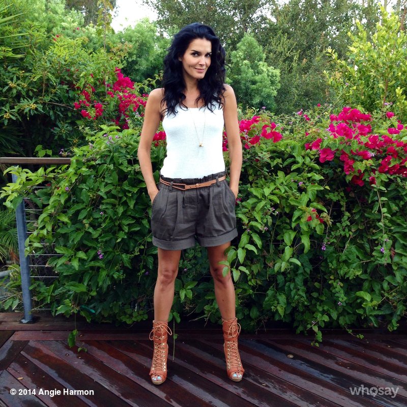 Angie_Harmon_--_Mix_Of_Social_Network_010.jpg