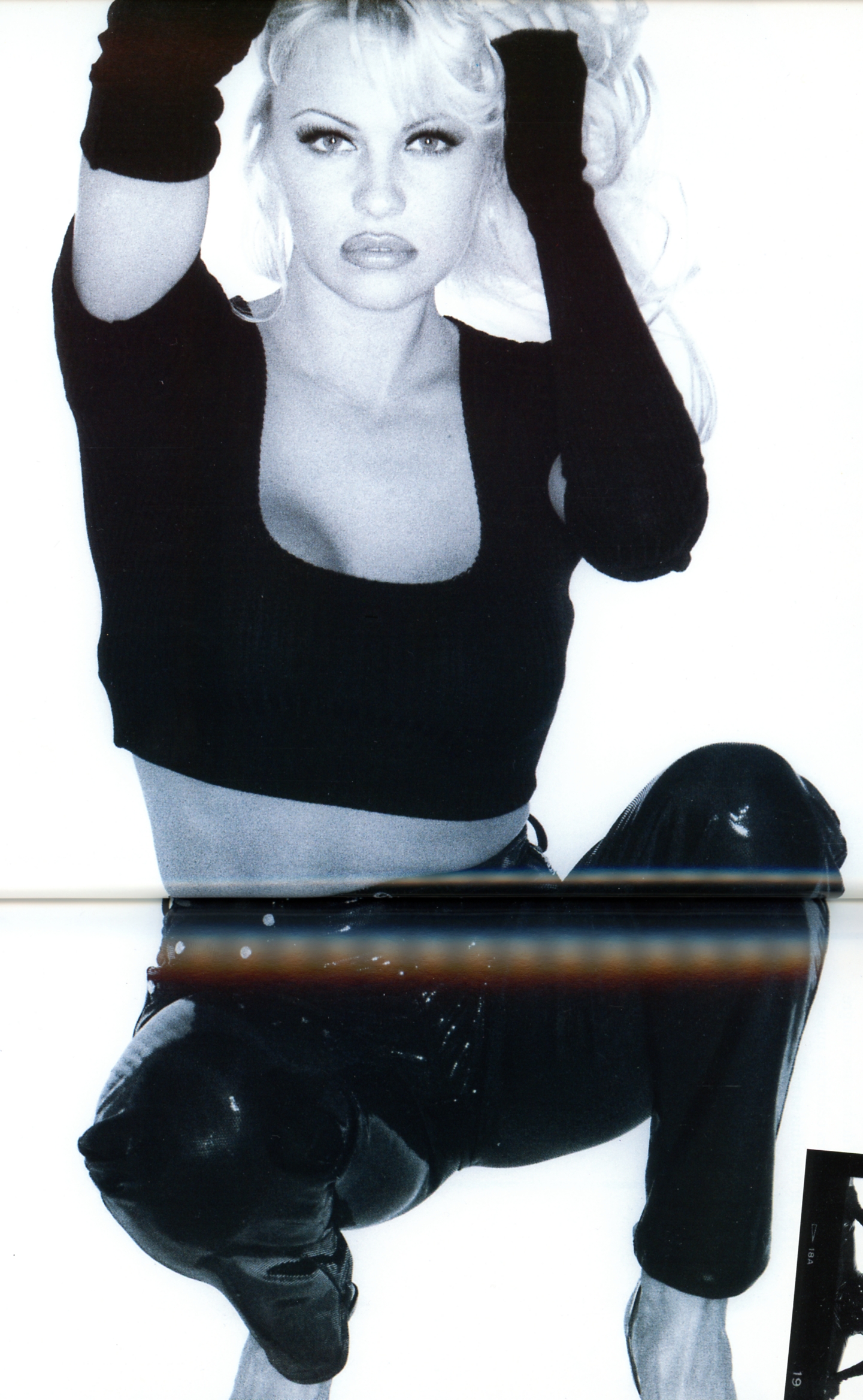 Pamela Anderson -- SCANMQ = Photographies De Stephen Wayda 2 06.jpg
